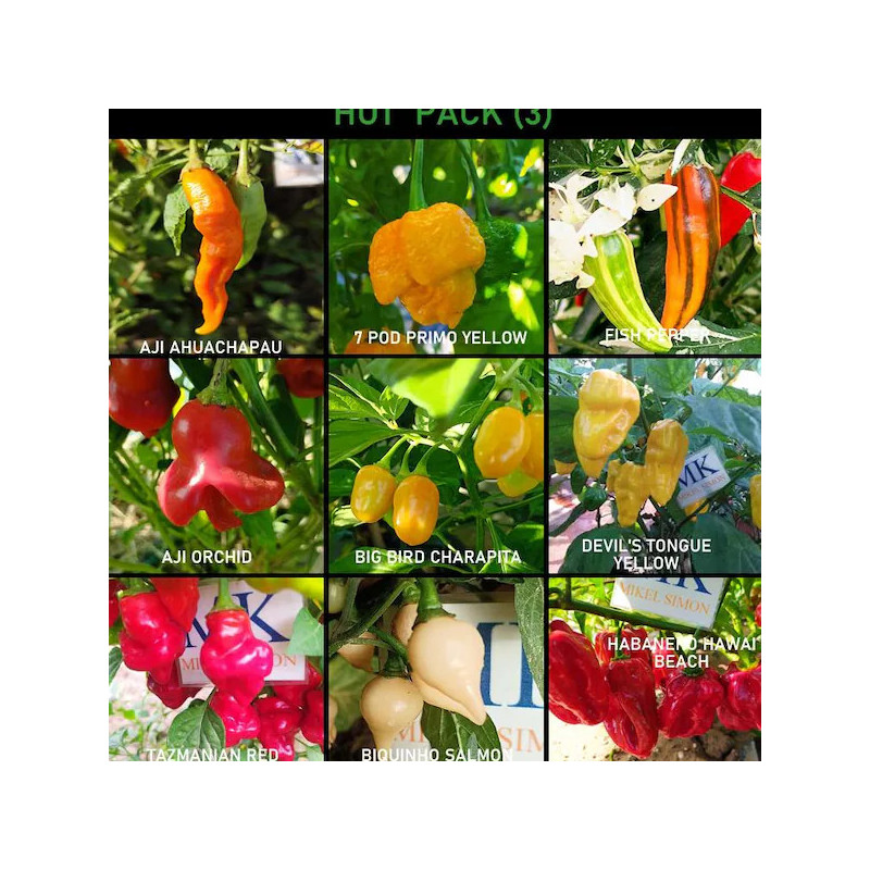 HOT PACK, 9 chiles picantes, pack насіння - купити онлайн