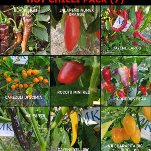 Hot Chilli, 9 varietà de chiles, 9X10, pack semi - acquista onlin