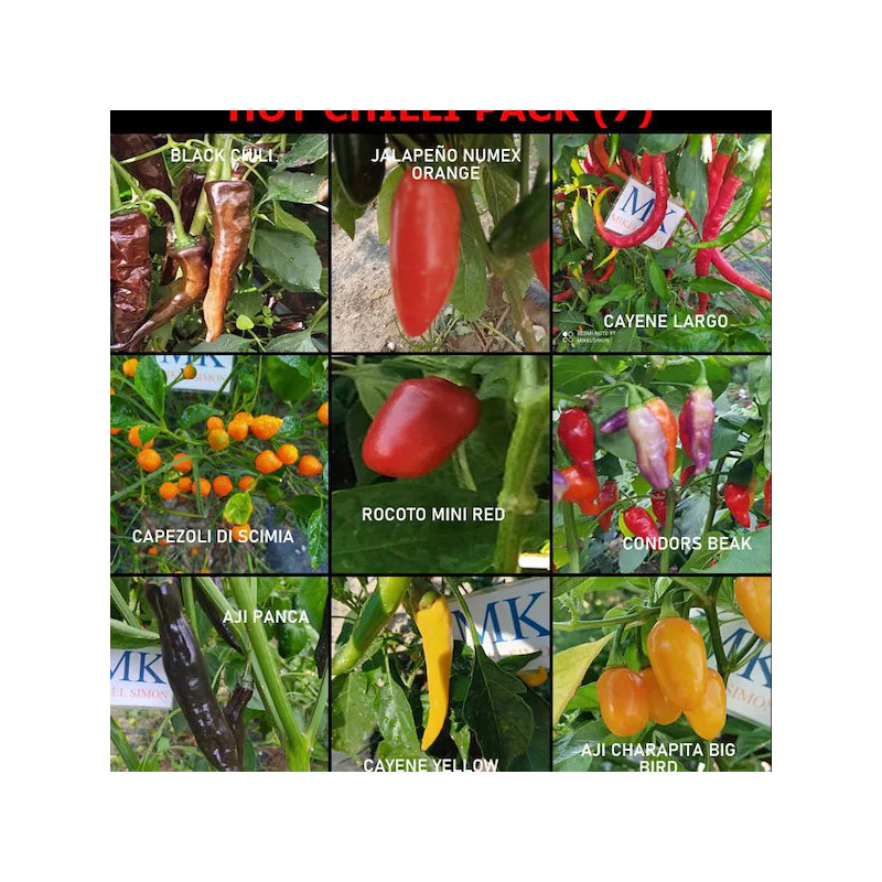 Hot Chilli, 9 sorter de chiles, 9X10, pack frø - køb online
