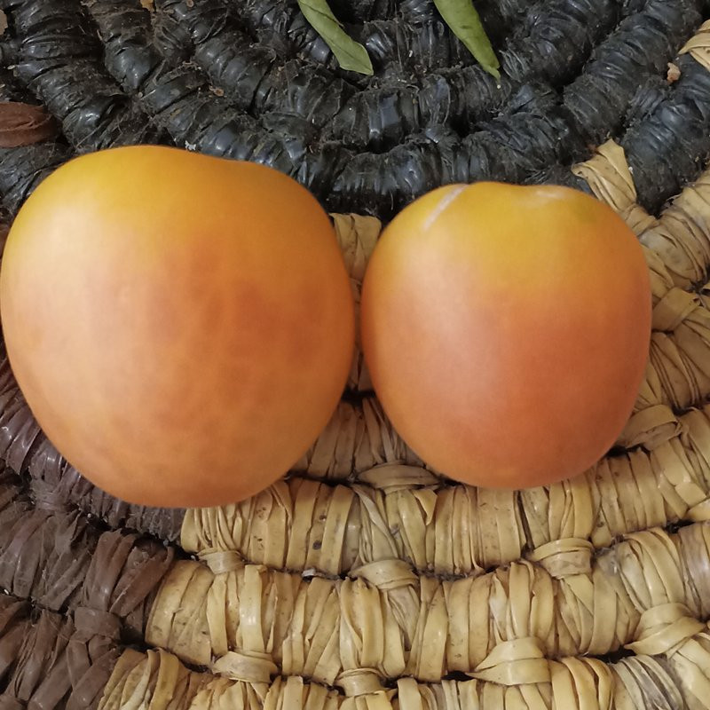 Tomate Zhaoming frø - kjøp på nett