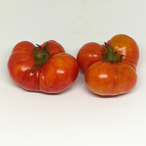Tomate Kumato Red semena - nakup prek spleta