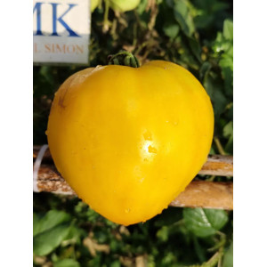 Tomate Weiber Riese sementes - comprar online