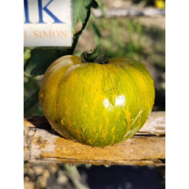 Tomate Liusinda seeds - buy online
