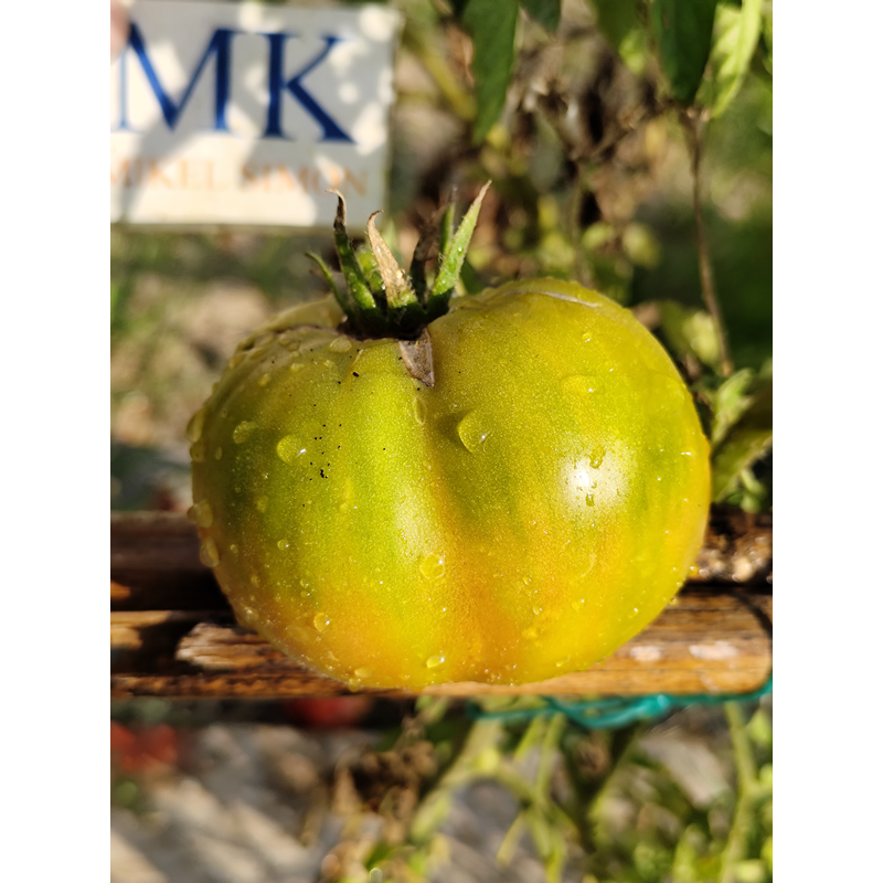 Tomate Ewergreen Samen kaufen