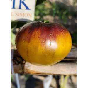 Tomate Wolverine seme - kupite online