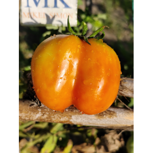 Tomate Liberty Bell насіння - купити онлайн
