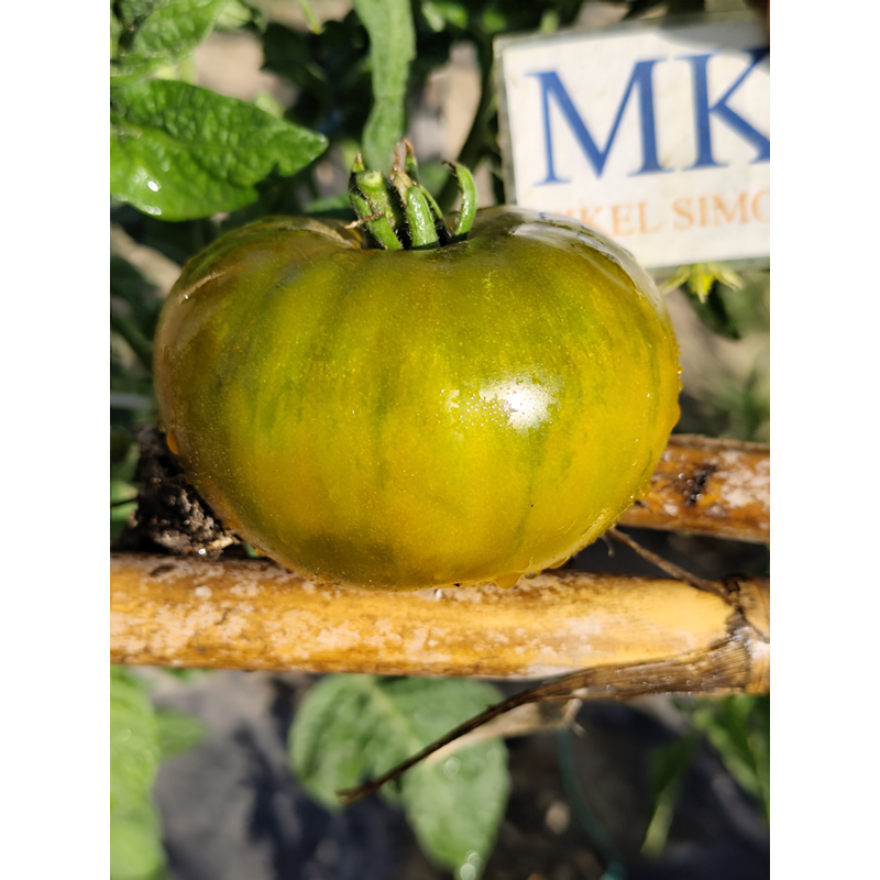 Tomate Frog Princess — купить семена