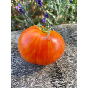Tomate Gandalf — купить семена