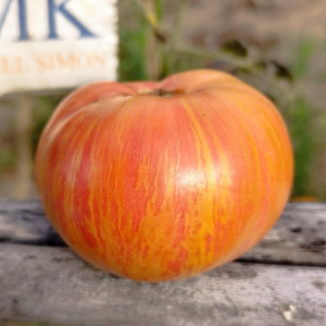 Tomate Dwarf Firebird Sweet насіння - купити онлайн