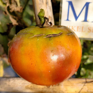 Tomate Giant Black Ukrainian семена - купи онлайн