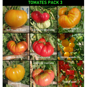 Zadenpakket Tomates, 9 variëteiten zaden kopen