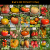 Tomatfrøpakke, 20 sorter, 200 frø (PACK 4)