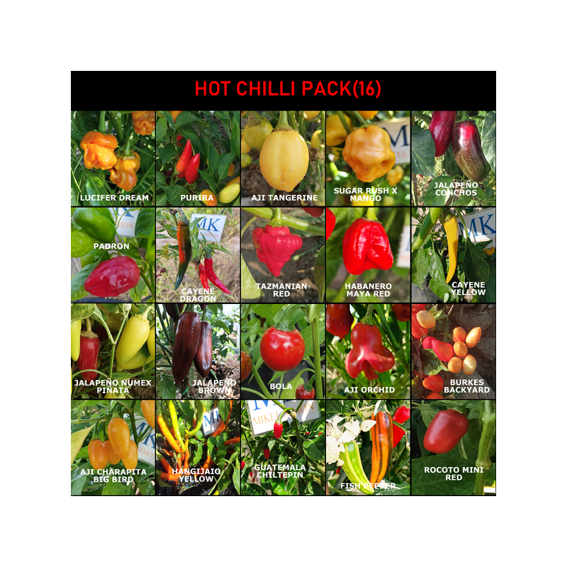 Acheter graines SUPER HOT 10+++, 20 chiles mas picantes del mundo