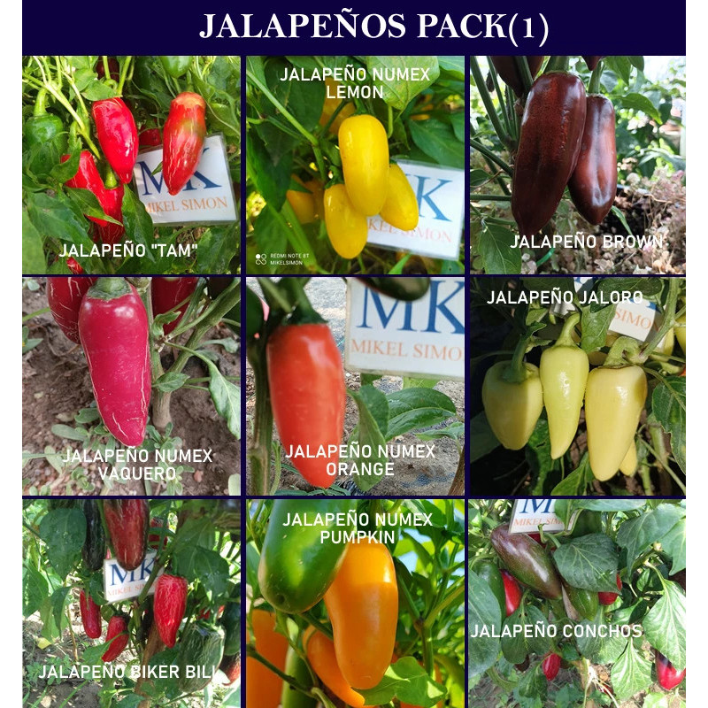 Seed pack Jalapeños, 9 varieties seeds - buy online