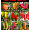 Sweet Pepper, 9 odmiany de pimientos, 90 nasion, (pack 17)