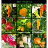 HOT PACK, 9 pekočih čilijev, 90 semen, paket (3)