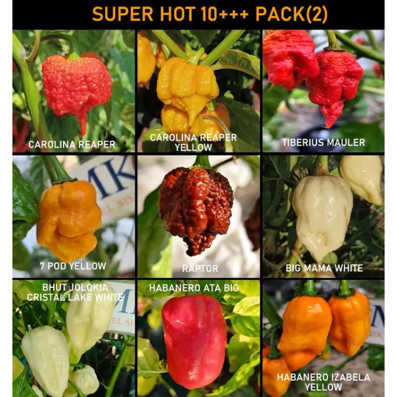 SUPER HOT 10+++, 9 chiles mas picantes del mundo, pack nasiona
