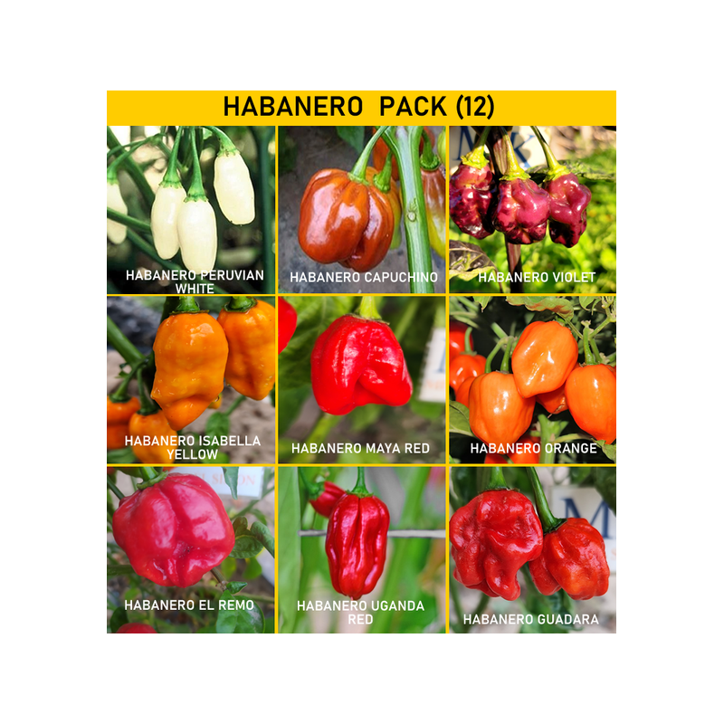 Habanero Pack, 9 Sorten, PACK Samen kaufen
