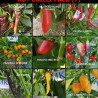 Hot Chilli , 9 variedades de chiles ,9X10 ,90 semillas, pack (7)