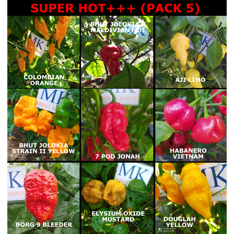 SUPER HOT 10+++ , 9 chiles mas picantes del mundo ,9X10 ,90 semillas, pack (5)
