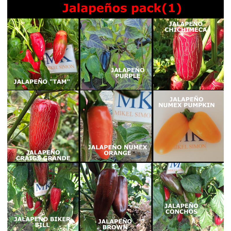 Lote de semillas de Jalapeños, 9 variedades , 90 semillas (1)