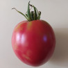 Tomate Babuschka , 10 semillas (26)