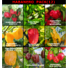 Habanero Pack ,9 variedades,90 semillas,PACK (12)