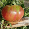 Tomate Dwarf Noah's Stripes , 10 semillas (110)