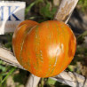 Tomate Dwarf Speckled Heart , 10 semillas (117)