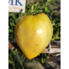 Tomate Eva Yellow Heart , 10 semillas (123)