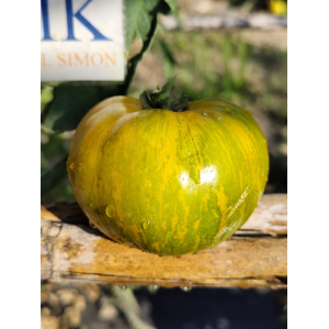 Tomate Liusinda , 10 semillas (142)