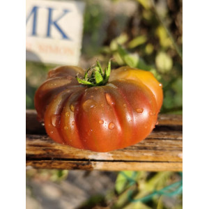Tomate Purple Calabash , 10 semillas (200)