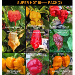 SUPER HOT 10+++ , 9 chiles mas picantes del mundo,90 semillas, pack(2)