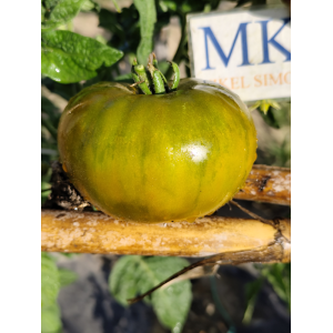 Tomate Frog Princess , 10 semillas (279)