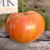 Tomate Dwarf Firebird Sweet , 10 semillas (356)