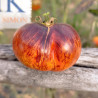 Tomate Blue on a Platter , 10 Semillas (364)