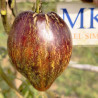 Tomate Sofia's Sweet Caramel , 10 semillas (373)