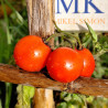 Tomate Terra Cota Cherry , 10 Semillas (409)