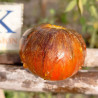 Tomate Ordinary World , 10 Semillas (438)