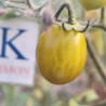 Tomate Amber Keyes, 10 Semillas (445)