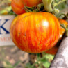 Tomate Raya Rey , 10 Semillas (445)