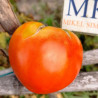 Tomate Optima , 10 Semillas (462)
