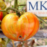 Tomate Valenciana , 10 Semillas (463)