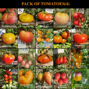 20 Variedades de Tomates,10 semillas de cada variedad,200 semillas (PACK4)