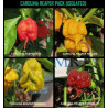 Lote de semillas de Carolina Reaper ,ISOLATED , 4 variedades , 40 semillas